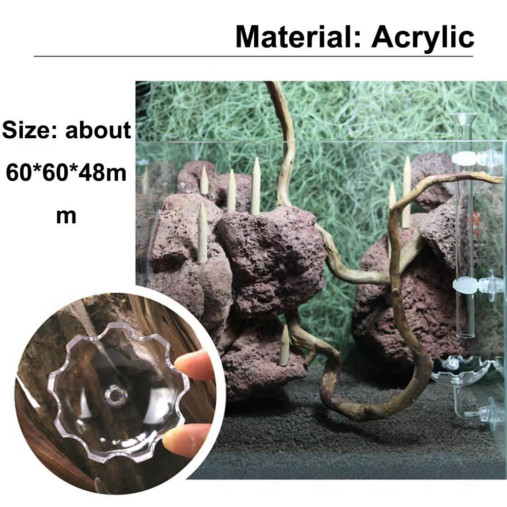 Aquarium Fish Shrimp Feeder Acrylic Fish Tank Floating Bowl Flower Shape Food Feeder with Suction Cup Aquarium Supplies