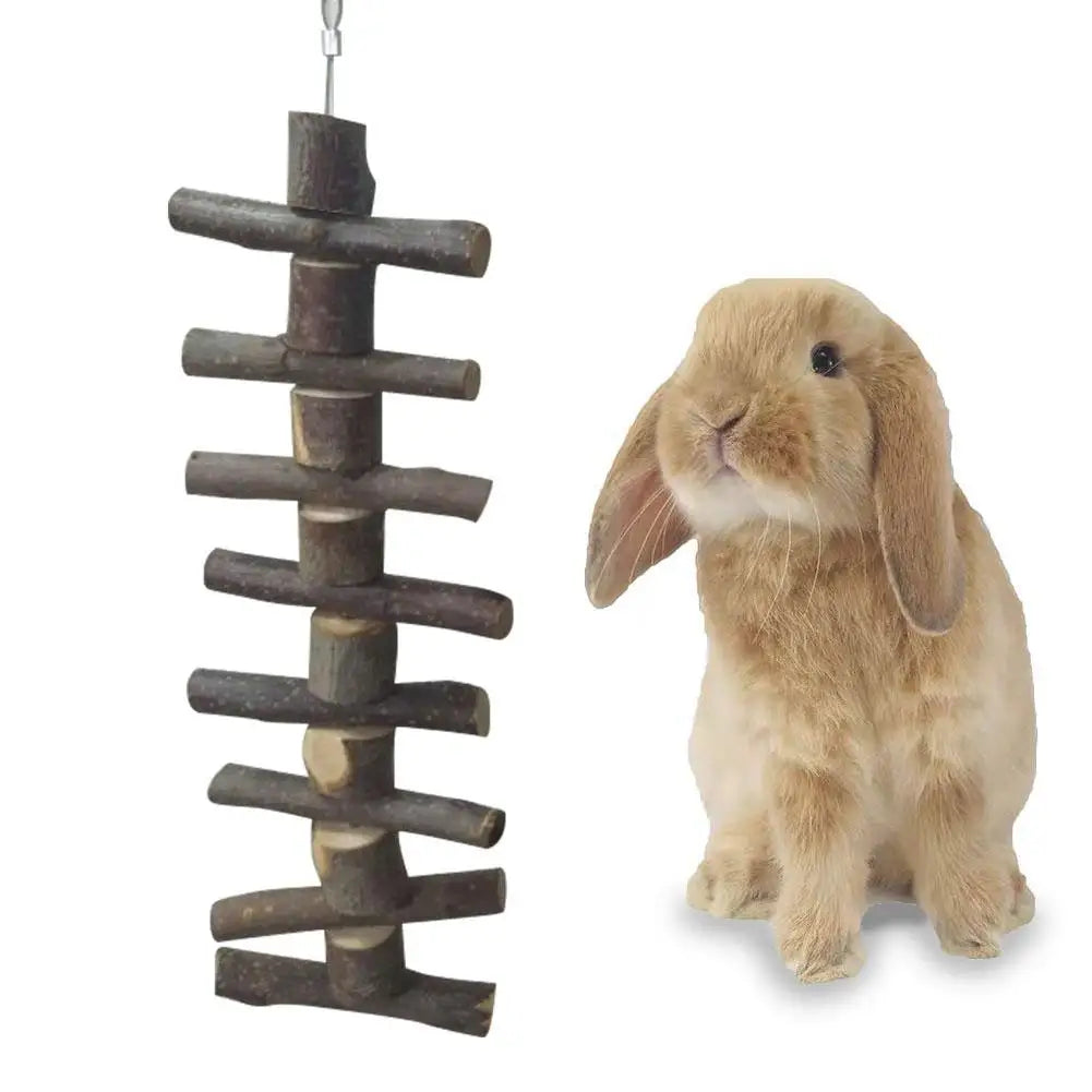 Pet Wooden Tooth Grinding Toys for Rabbits Hamster Chinchilla Small Animals Teeth Chewing Toys Natural Apple Wooden Molar Rod