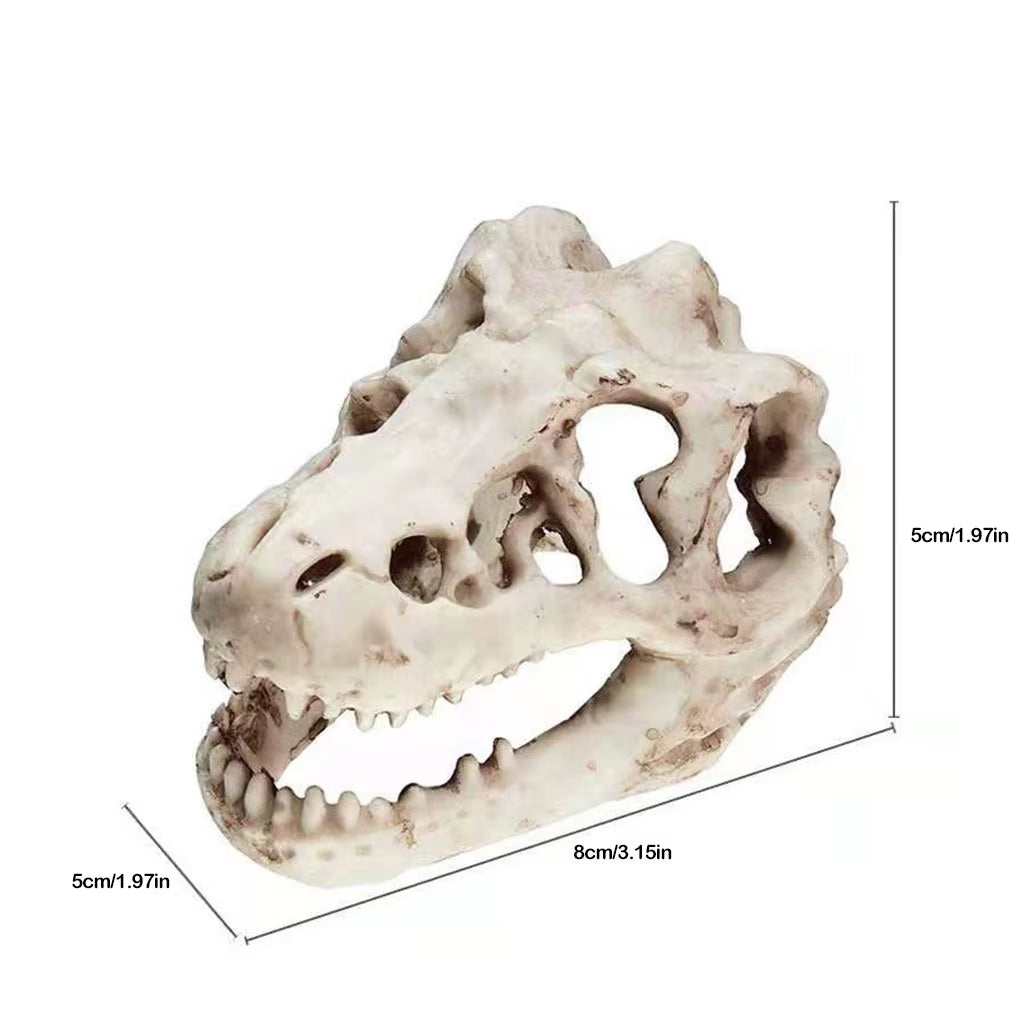 1 Pcs Dragon Resin Aquarium/Terrarium Decoration Crocodile Skull for Fish Tank Resin Ornament Decorate Your Aquarium