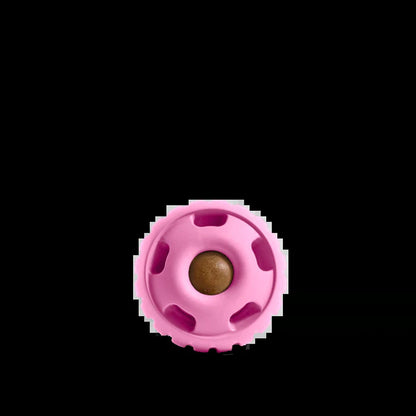 The Pupsicle