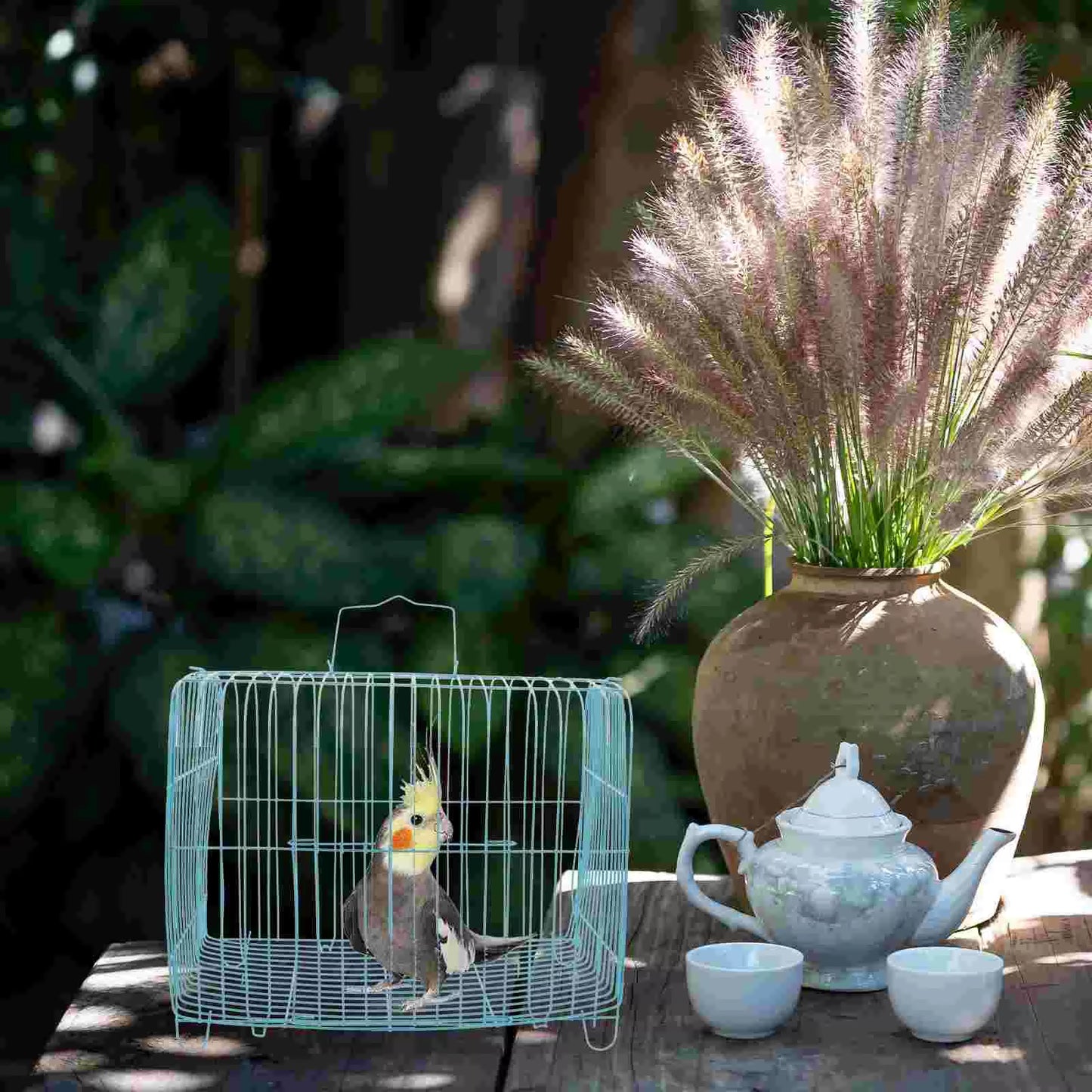 Handcage Bird Handheld Parrot Travel Carrier Wire Pet Steel Portable Cages for Birds Carrying