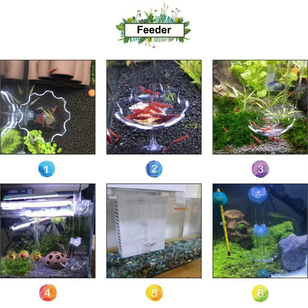 Aquarium Fish Shrimp Feeder Acrylic Fish Tank Floating Bowl Flower Shape Food Feeder with Suction Cup Aquarium Supplies