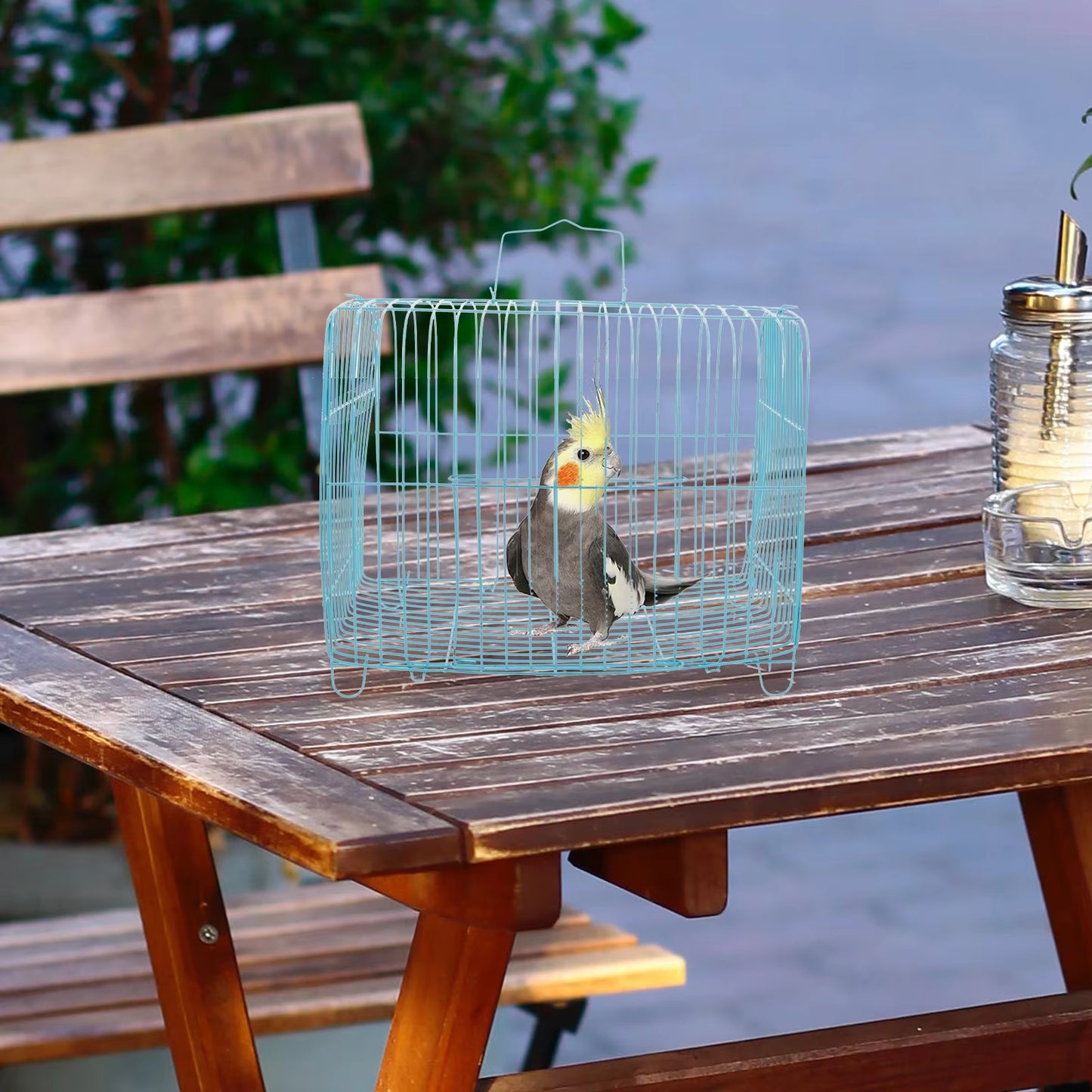 Handcage Bird Handheld Parrot Travel Carrier Wire Pet Steel Portable Cages for Birds Carrying