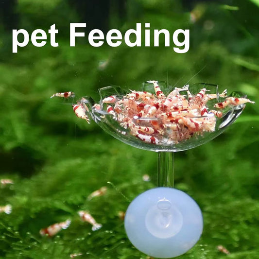 Aquarium Fish Shrimp Feeder Acrylic Fish Tank Floating Bowl Flower Shape Food Feeder with Suction Cup Aquarium Supplies