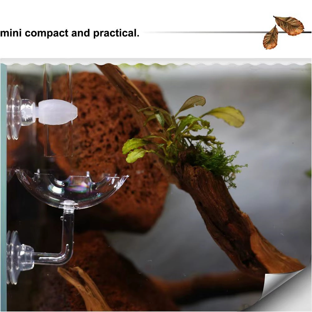 Aquarium Fish Shrimp Feeder Acrylic Fish Tank Floating Bowl Flower Shape Food Feeder with Suction Cup Aquarium Supplies
