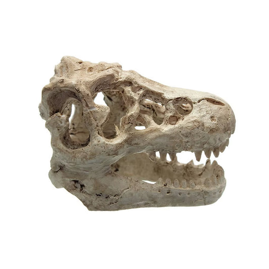1 Pcs Dragon Resin Aquarium/Terrarium Decoration Crocodile Skull for Fish Tank Resin Ornament Decorate Your Aquarium